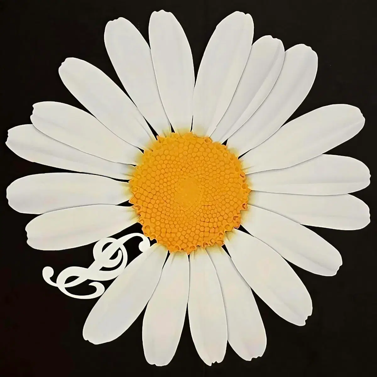 peaceminusone MAMA produce by G-DRAGON peaceminusone MAMA produce