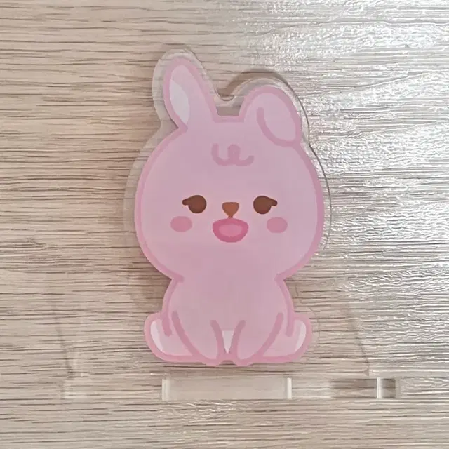 데이식스 쁘띠멀즈 필 아크릴 스탠드