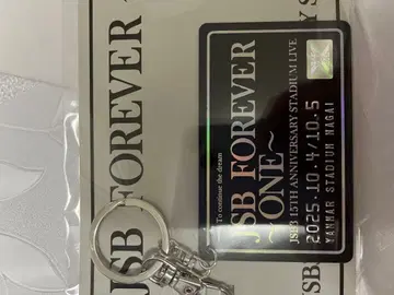 3대 JSB FOREVER ONE 카드 키링 (회장 한정판)