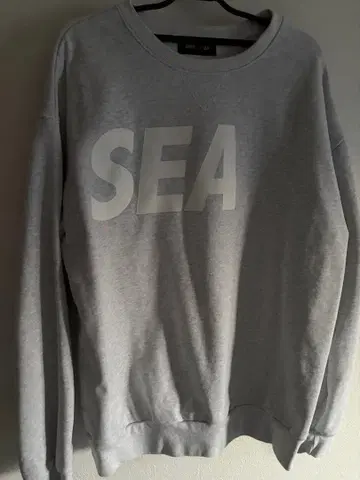 wind and sea logo sweat gray L