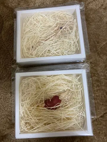 카드캡터 사쿠라전 브로치 2개 세트