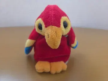 말하는 따라쟁이 앵무새