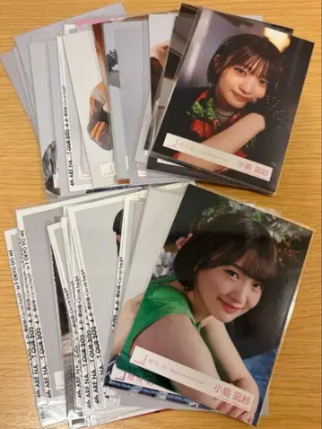 코지마 나기사 브로마이드 56장 묶음 판매