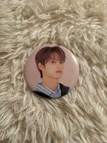 SEVENTEEN 24H JUN 캔뱃지