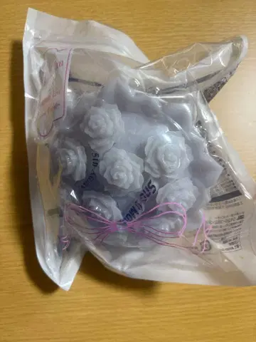 SnowMan 1st 스타디움 라이브 snow world