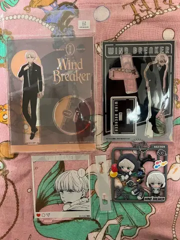 WIND BREAKER 윈브레 카지 렌