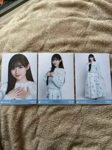 노기자카46 카와사키 벚꽃 브로마이드 컴프