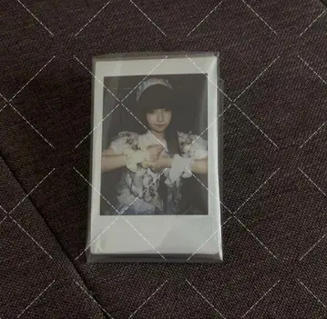 타마키야네 큐루링 해봐 체키 큐루해줘