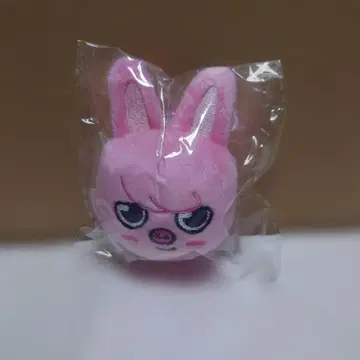 StrayKids DWAEKKI 봉제 인형 마그넷