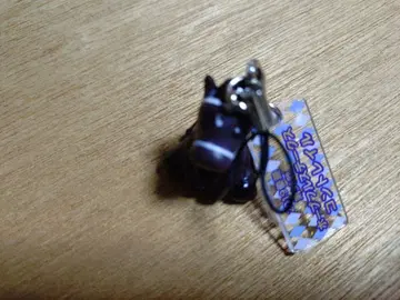 아이돌 호스 미니 컬렉션 콘 트레일 제36회 호프풀 스테이크스 G1