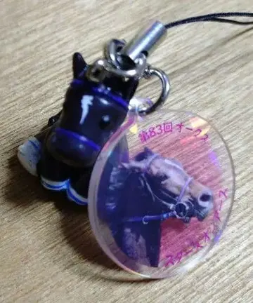 아이돌 호스 미니 컬렉션 스타즈 온 어스 제83회 오크스 G1