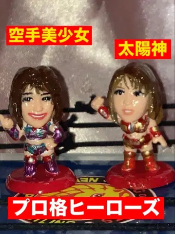 프로 격투 히어로즈 태양의 전사 vs 다른 여자