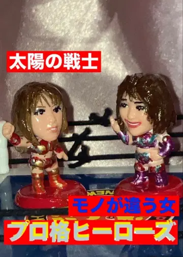 프로 격투 히어로즈 태양의 전사 vs 다른 여자