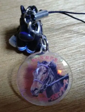 아이돌 호스 미니 컬렉션 스타즈 온 어스 제82회 국화상