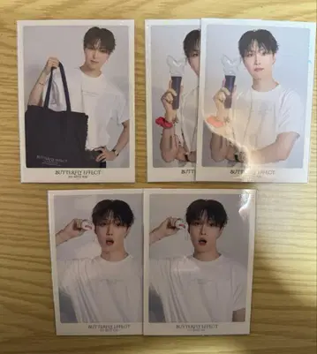 호리 나츠키 세트