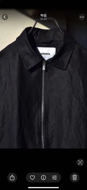 echeveria 사이즈 1