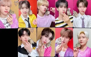 CRAVITY 사인회 영통 트레카 9장 컴프