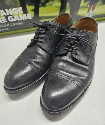 잘란 스리와야 홀컷 플레인토 그린라벨 블랙 41