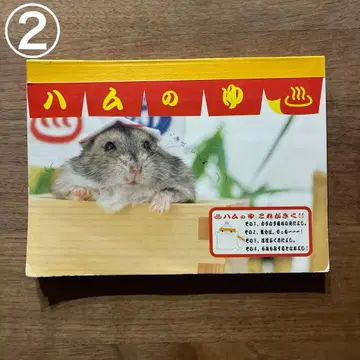 헤이세이 레트로 햄스터 메모장 2