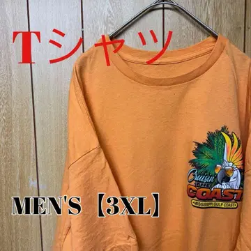 TS166 [ US 수입 ] 반팔T셔츠 [ 남성용 3XL 상당 ] 오렌지