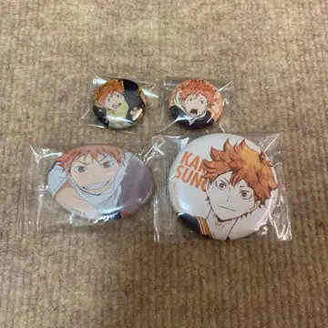 하이큐!! 캐릭터 배지 컬렉션 winter ver. 히나타 쇼요