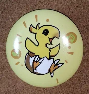 팬페스 캔뱃지 초코보