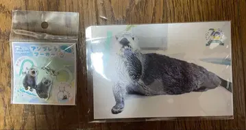 도바 수족관 엄브렐라 마커 엽서