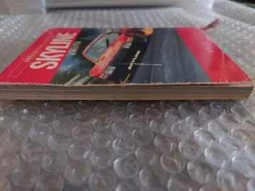 스카이라인 온리 서