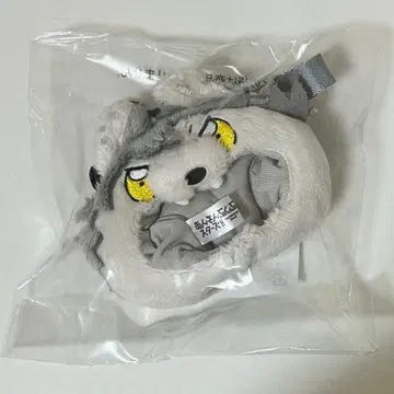 앙스타 코우가 숄더