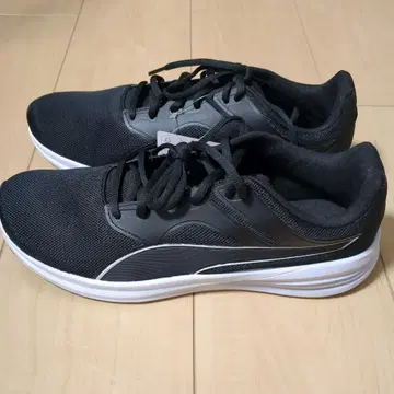 남성용 PUMA 27.0cm 트랜스포트 377028