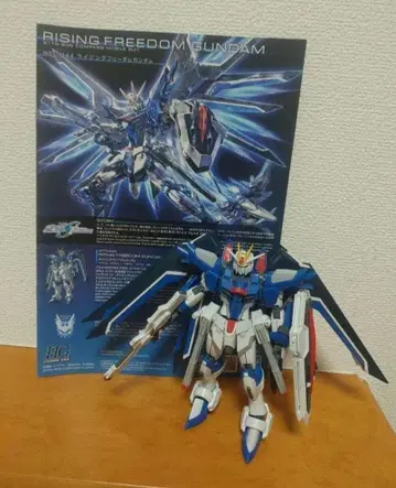 1/144 HG 라이징 프리덤 건담 완성품 상품 동시 300엔 할인