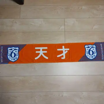 히나타자카46 모리모토 말리 최애 타월