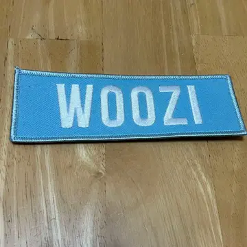 SEVENTEEN 세븐틴 와펜 odetoyou 우지