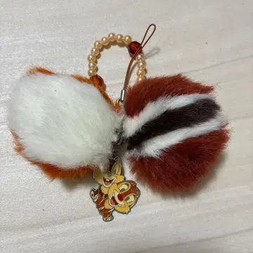 칩과 데일 스트랩