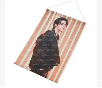 SEVENTEEN FOLLOW TO JAPAN 태피스트리 에스쿱스