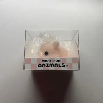 모니마루즈 돼지 모니 모니 ANIMALS