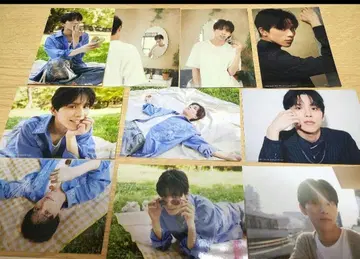 포트레이트 사진 세트 9장