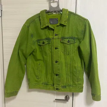 DUALISM 데님 자켓 그린
