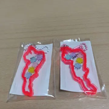 비와코 아크릴 키링 아사이 삼자매의 고장 핑크 2개 비와호
