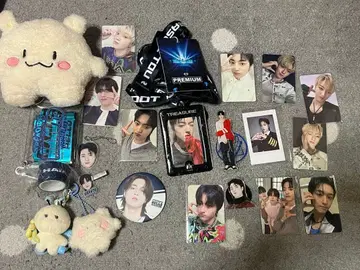 treasure 하루토 묶음 판매