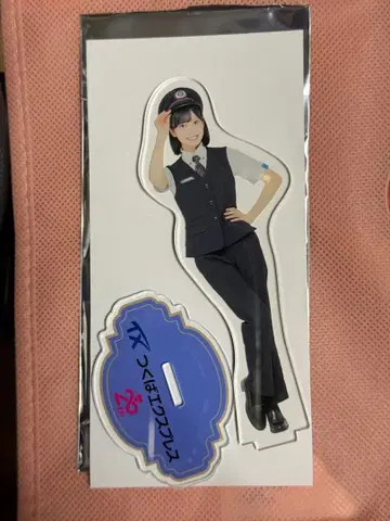AKB48x 츠쿠바 익스프레스 랜덤 아크릴 스탠드 아라이 나기 씨