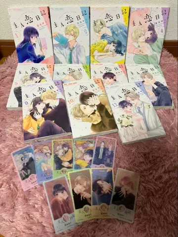 주인일기 1~11권 세트