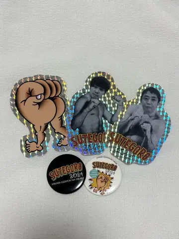 안녕, 청춘의 빛 스로 투어 2024 캔뱃지 & 스티커 세트