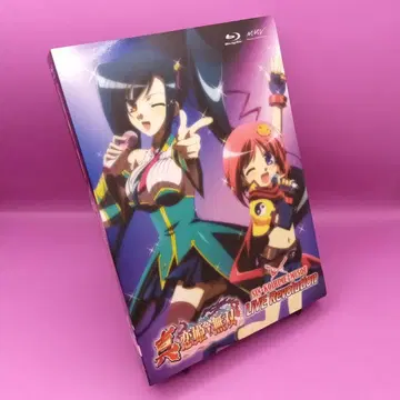 진 연희 무쌍 LIVE Revolution