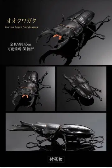 오오쿠와가타 피규어