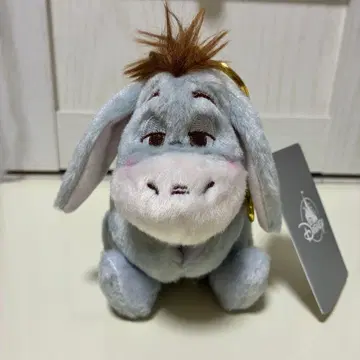 디즈니 이요르 브러쉬 키체인