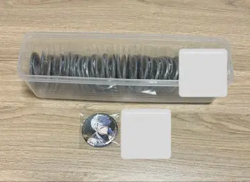 야오토메 가쿠 VARIANT 캔뱃지 30개