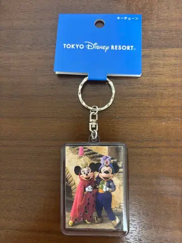 디즈니 아라비안 코스트 미키 미니 실사 키링 구형