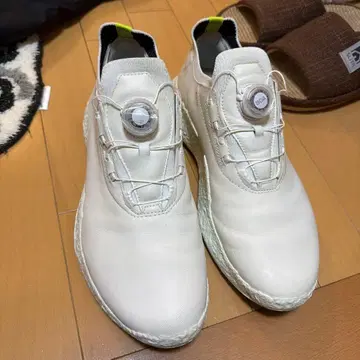 할인 에코 최신 골프화 보아 시스템