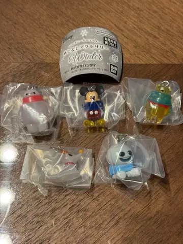 디즈니 메지루시 액세서리 WINTER 전 5종 세트 컴프 세트